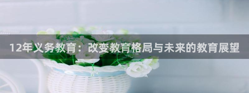 新航线娱乐会所：12年义务教育：改变教育格局与未来的教育展望