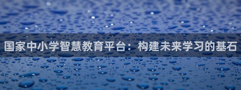 中国证券新航娱乐官网：国家中小学智慧教育平台：构建未来学习的