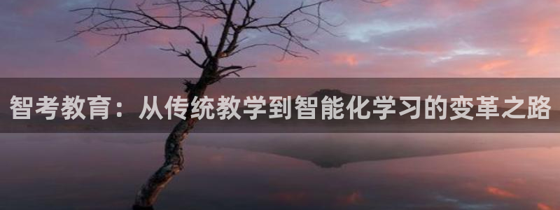 新航娱乐公司问题：智考教育：从传统教学到智能化学习的变革之路