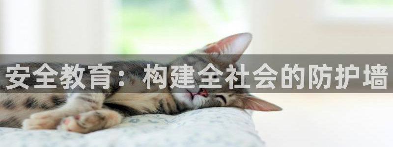 娱乐界的新航母：安全教育：构建全社会的防护墙