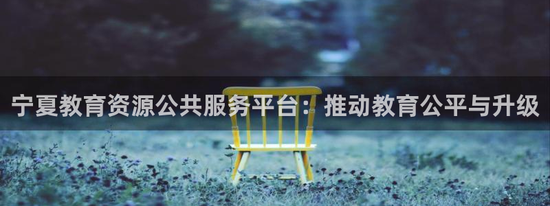 新航娱乐官方：宁夏教育资源公共服务平台：推动教育公平与升级