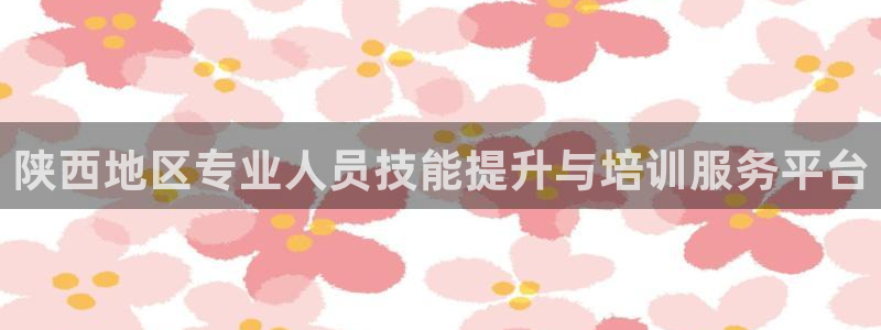 新航娱乐娱乐官方网站：陕西地区专业人员技能提升与培训服务平台