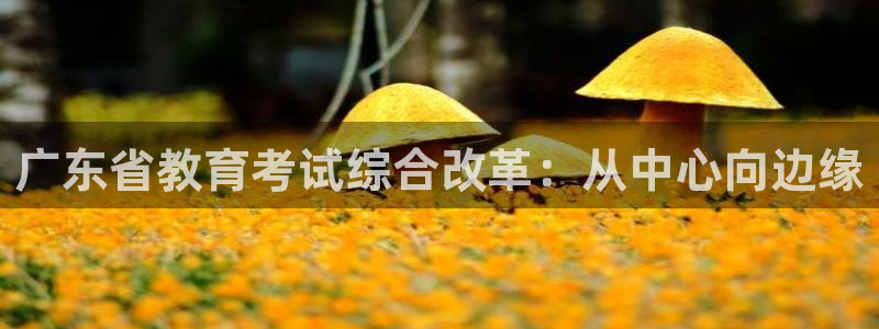 开启娱乐新航线：广东省教育考试综合改革：从中心向边缘
