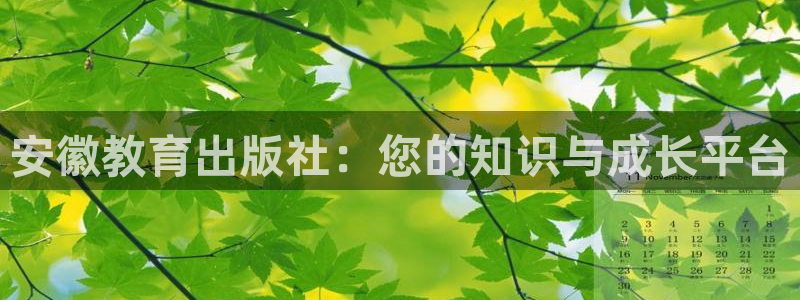 新航娱乐公司艺人招聘：安徽教育出版社：您的知识与成长平台