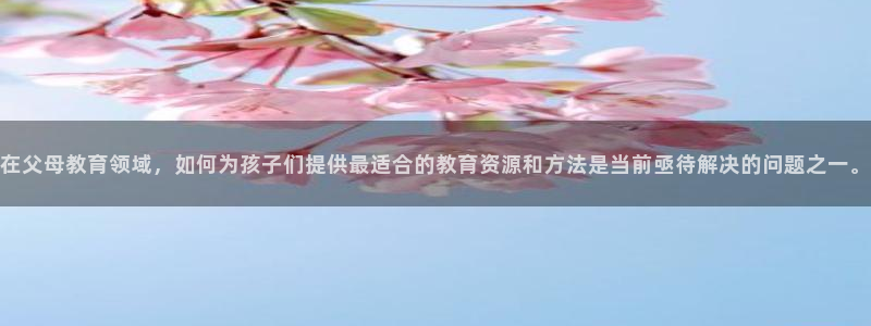 新航海娱乐会所电话是多少：在父母教育领域，如何为孩子们提供最