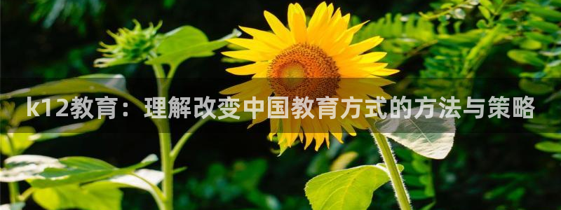 新航娱乐最新娱乐项目介绍：k12教育：理解改变中国教育方式的