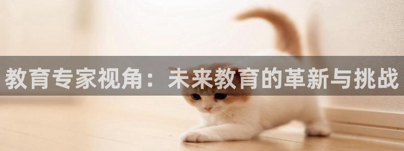 新航娱乐棋牌：教育专家视角：未来教育的革新与挑战