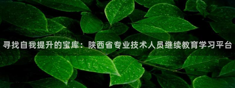 新航娱乐官方首页：寻找自我提升的宝库：陕西省专业技术人员继续