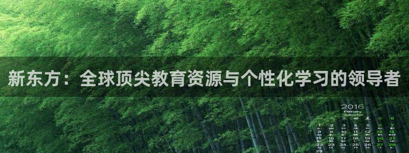 新航娱乐黑：新东方：全球顶尖教育资源与个性化学习的领导者