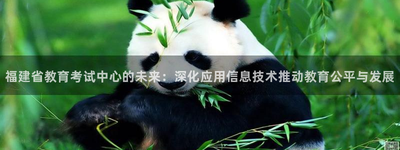 新航娱乐怎么样：福建省教育考试中心的未来：深化应用信息技术推