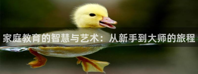 中国证券新航娱乐官网：家庭教育的智慧与艺术：从新手到大师的旅