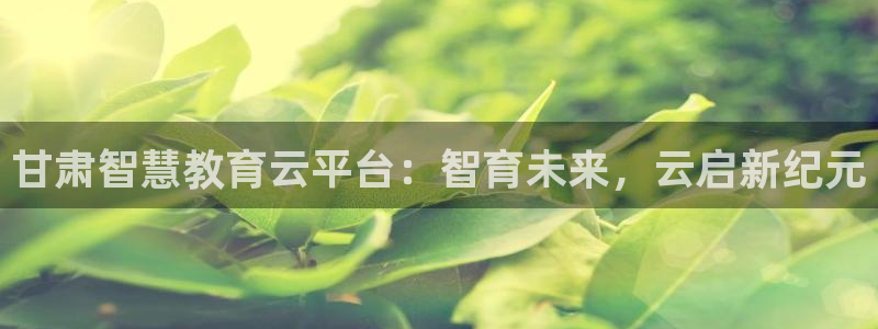 新航娱乐管理有限公司：甘肃智慧教育云平台：智育未来，云启新纪