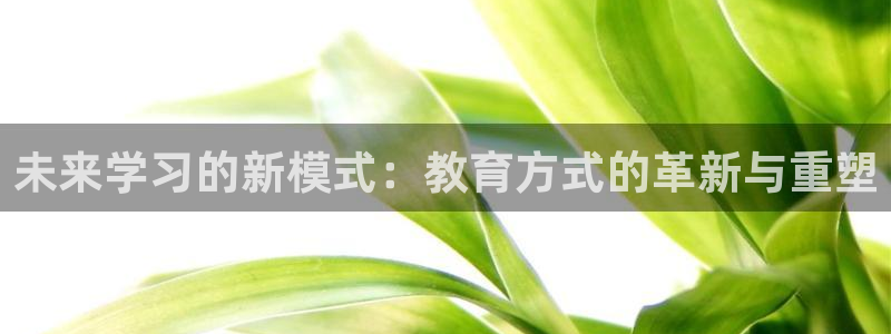 兰山新航线娱乐会所：未来学习的新模式：教育方式的革新与重塑