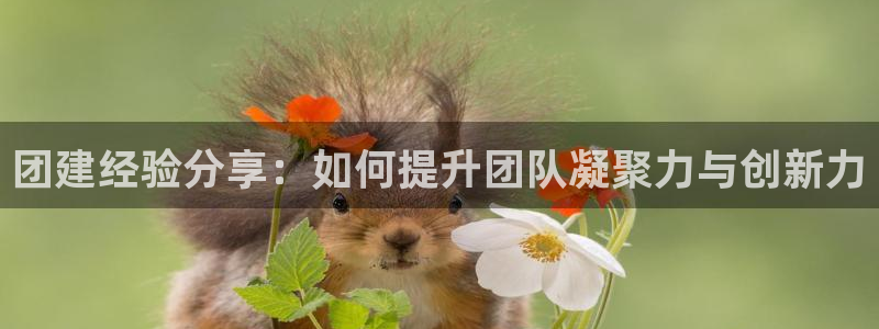 新航海娱乐会所电话地址：团建经验分享：如何提升团队凝聚力与创