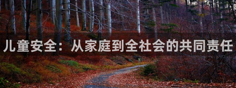 新航娱乐公司简介：儿童安全：从家庭到全社会的共同责任