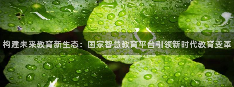 新航娱乐入新航娱乐怎么样：构建未来教育新生态：国家智慧教育平