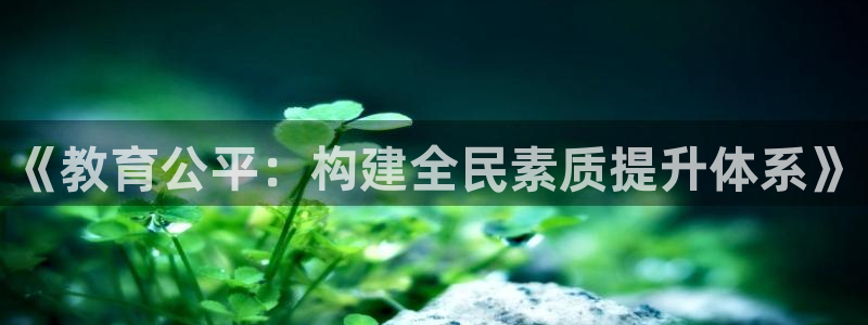新航娱乐注册：《教育公平：构建全民素质提升体系》