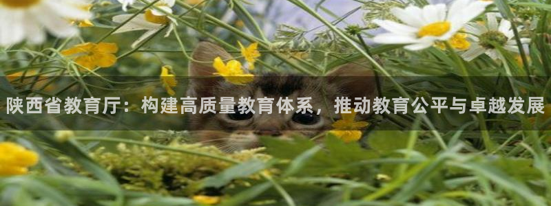 新航娱乐招商Q：陕西省教育厅：构建高质量教育体系，推动教育公