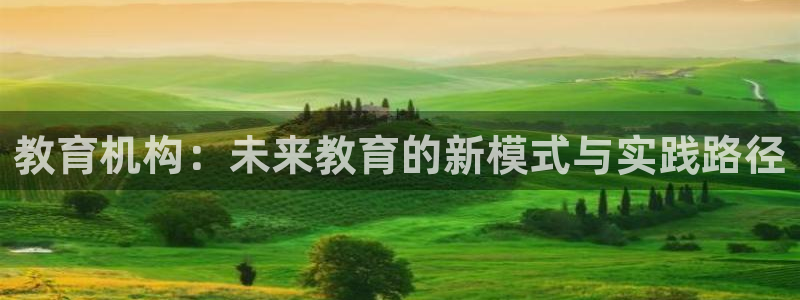新航娱乐的创始人背景：教育机构：未来教育的新模式与实践路径