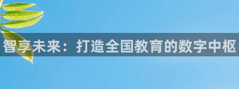 新航娱乐公司招聘信息：智享未来：打造全国教育的数字中枢
