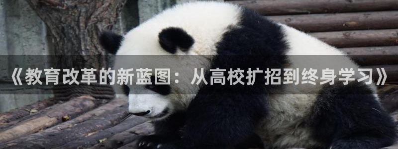 邯大新航娱乐：《教育改革的新蓝图：从高校扩招到终身学习》