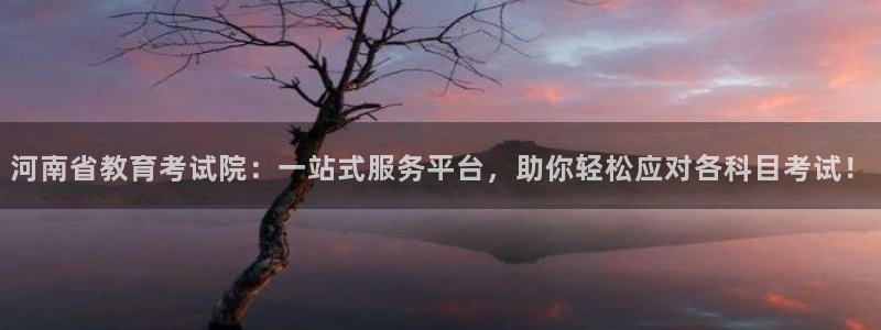新航娱乐娱乐官方网站：河南省教育考试院：一站式服务平台，助你