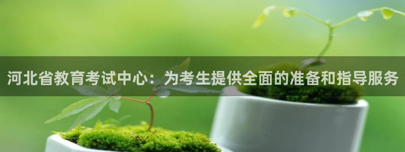 新航娱乐：河北省教育考试中心：为考生提供全面的准备和指导服务