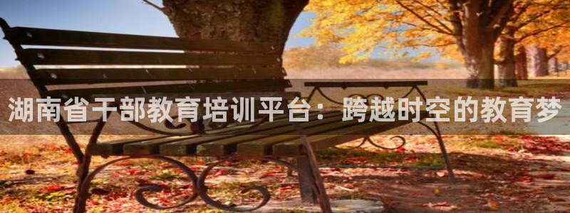 新航线娱乐：湖南省干部教育培训平台：跨越时空的教育梦