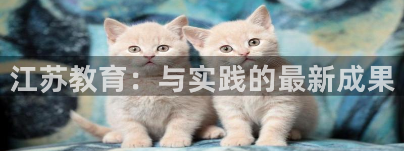 新航娱乐传媒招聘：江苏教育：与实践的最新成果