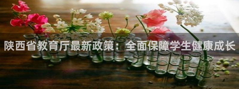 新航娱乐公司：陕西省教育厅最新政策：全面保障学生健康成长