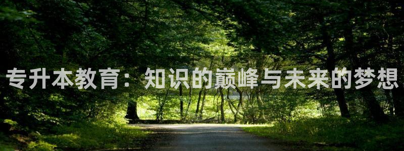 新航娱乐属于什么级别：专升本教育：知识的巅峰与未来的梦想