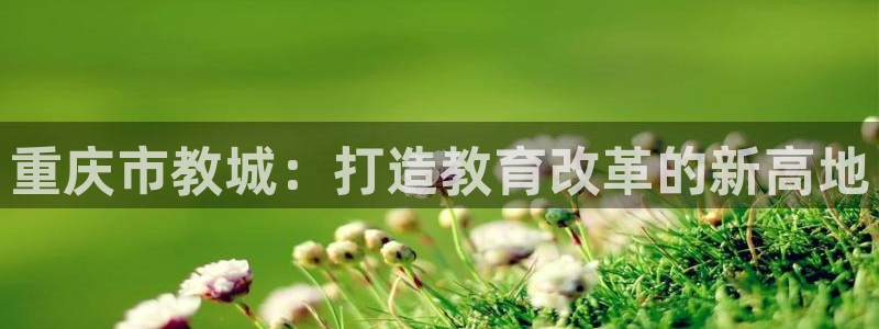 新航娱乐公司简介：重庆市教城：打造教育改革的新高地