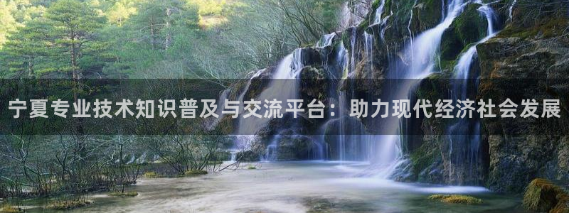 新航娱乐平台：宁夏专业技术知识普及与交流平台：助力现代经济社