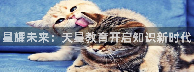 新航面试娱乐：星耀未来：天星教育开启知识新时代