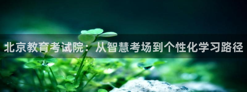 新航文化娱乐传媒怎么样：北京教育考试院：从智慧考场到个性化学