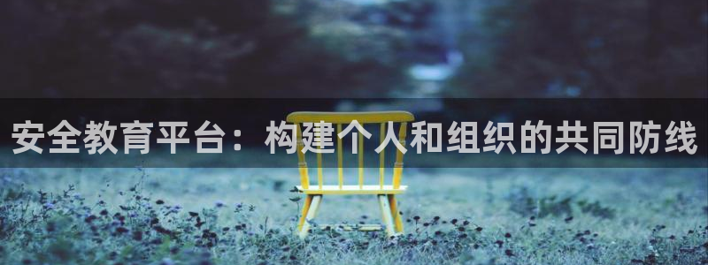 新航文化娱乐传媒怎么样：安全教育平台：构建个人和组织的共同防