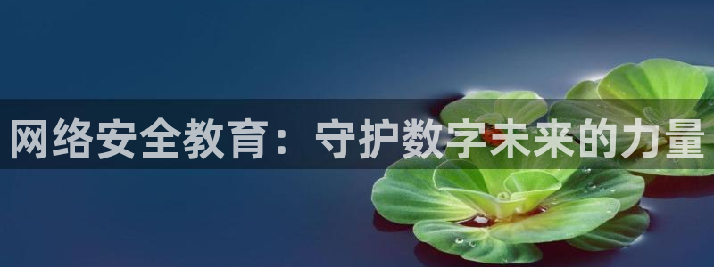 新航娱乐q：网络安全教育：守护数字未来的力量