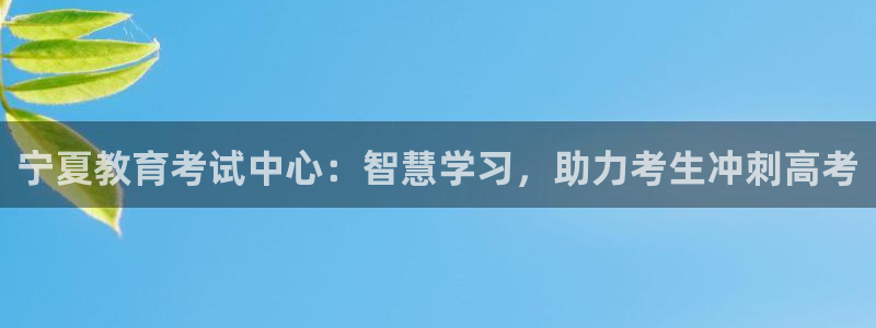 新航文化娱乐传媒怎么样：宁夏教育考试中心：智慧学习，助力考生