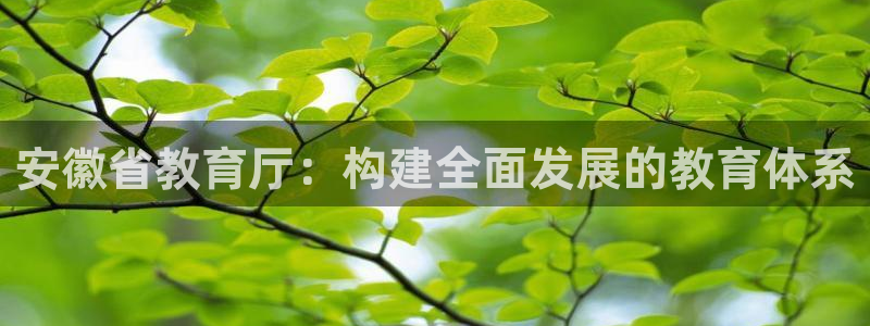 新航文化娱乐传媒招聘：安徽省教育厅：构建全面发展的教育体系