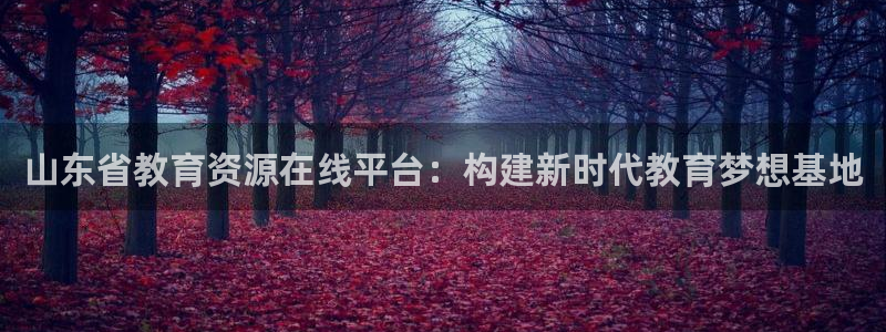 邯大新航娱乐：山东省教育资源在线平台：构建新时代教育梦想基地