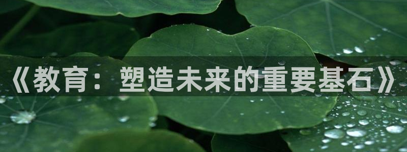 新航娱乐公司简介：《教育：塑造未来的重要基石》