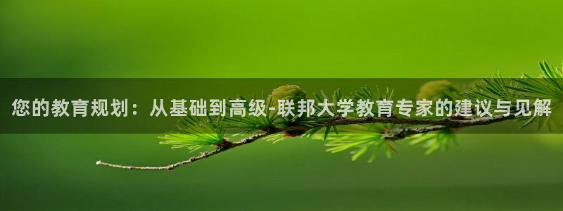 新航娱乐传媒怎么样：您的教育规划：从基础到高级-联邦大学教育