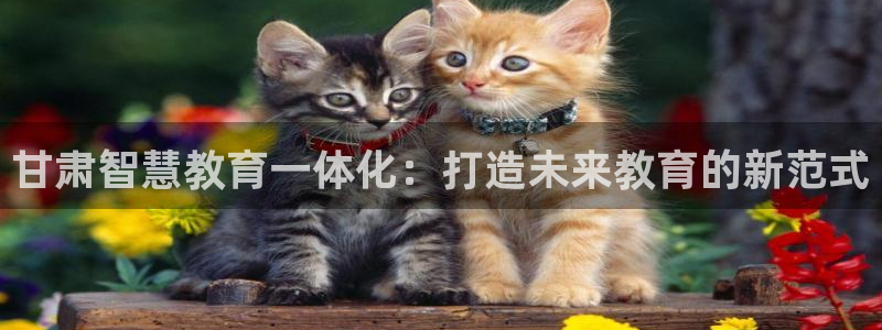 新航线辉煌娱乐会所：甘肃智慧教育一体化：打造未来教育的新范式