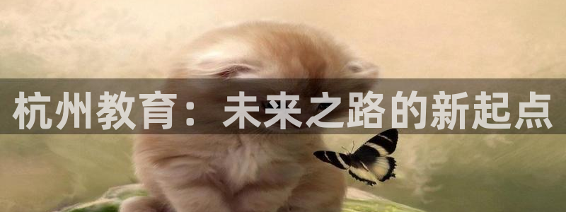 新航娱乐公司地址电话：杭州教育：未来之路的新起点