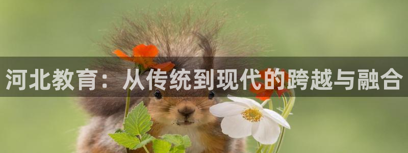 新航娱乐有方法开挂吗：河北教育：从传统到现代的跨越与融合