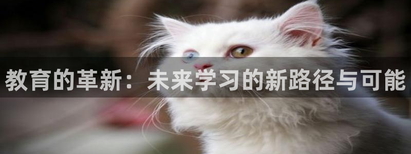 新航娱乐公司地址电话：教育的革新：未来学习的新路径与可能