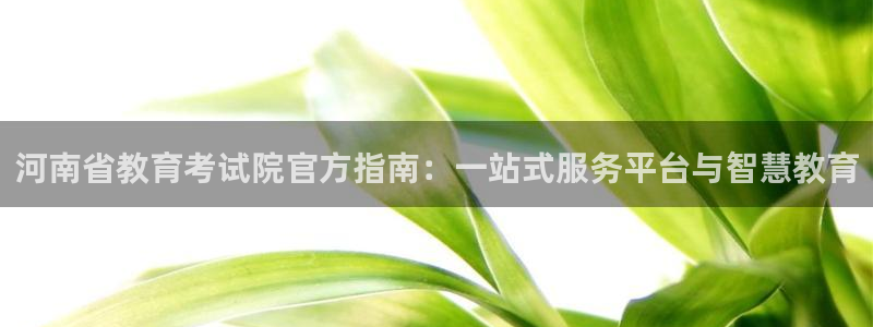 新航海娱乐会所怎么样：河南省教育考试院官方指南：一站式服务平
