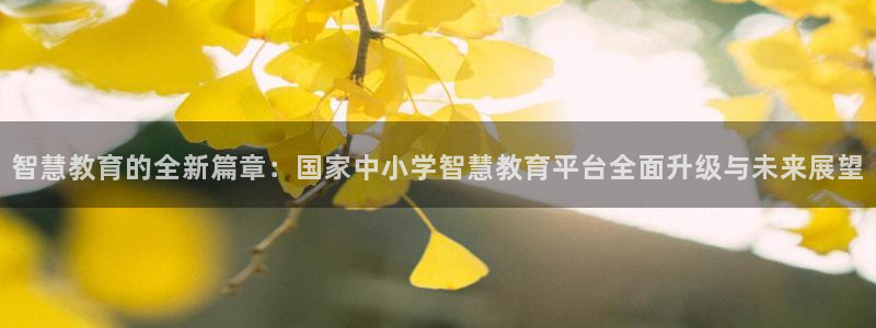 新航娱乐系统设置：智慧教育的全新篇章：国家中小学智慧教育平台