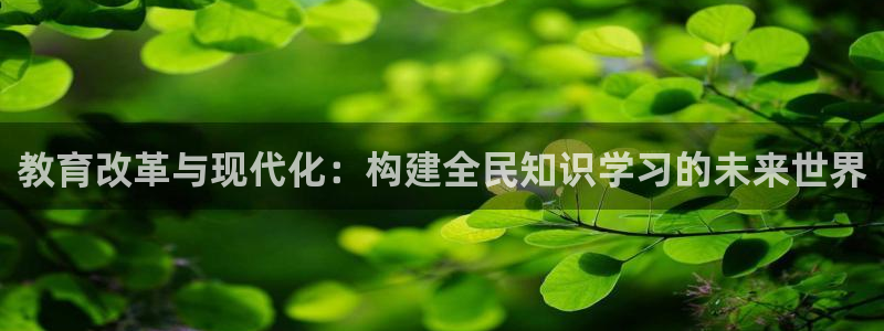 新航娱乐下载安装：教育改革与现代化：构建全民知识学习的未来世