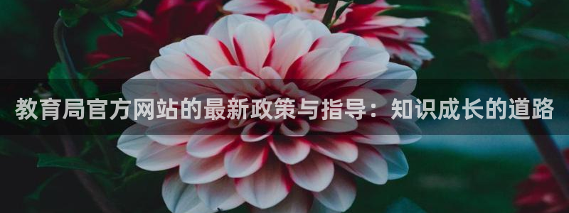 新航面试娱乐：教育局官方网站的最新政策与指导：知识成长的道路